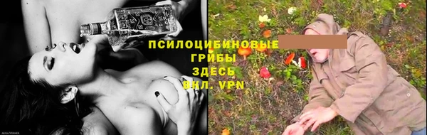 гашиш Богданович