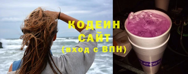 гашиш Богданович