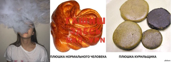 гашиш Богданович