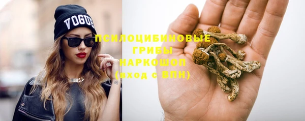 шишки Богородицк
