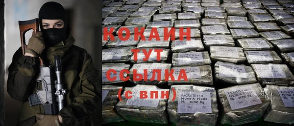 PSILOCYBIN Богородск