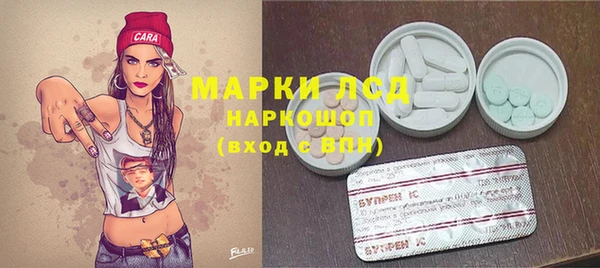 шишки Богородицк