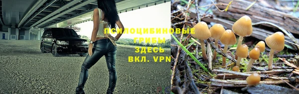 гашиш Богданович