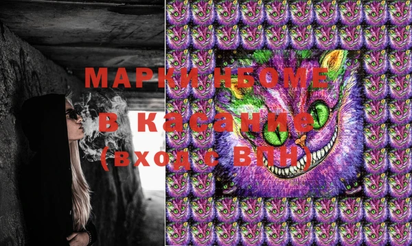 шишки Богородицк