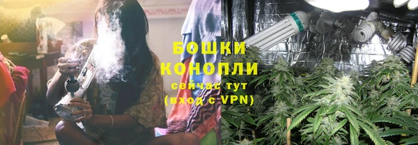 гашиш Богданович