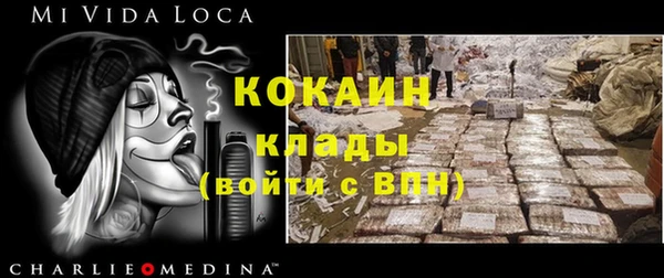 шишки Богородицк