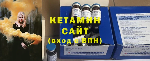 шишки Богородицк